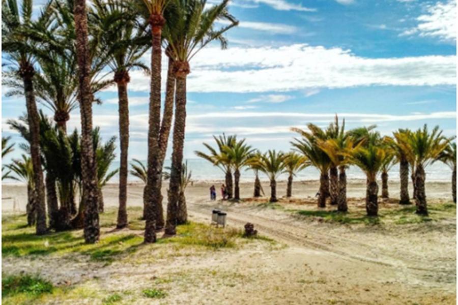 산타 폴라 Apartamentoen La Playa, 200 Mts De La Playa Nuevo 아파트 외부 사진